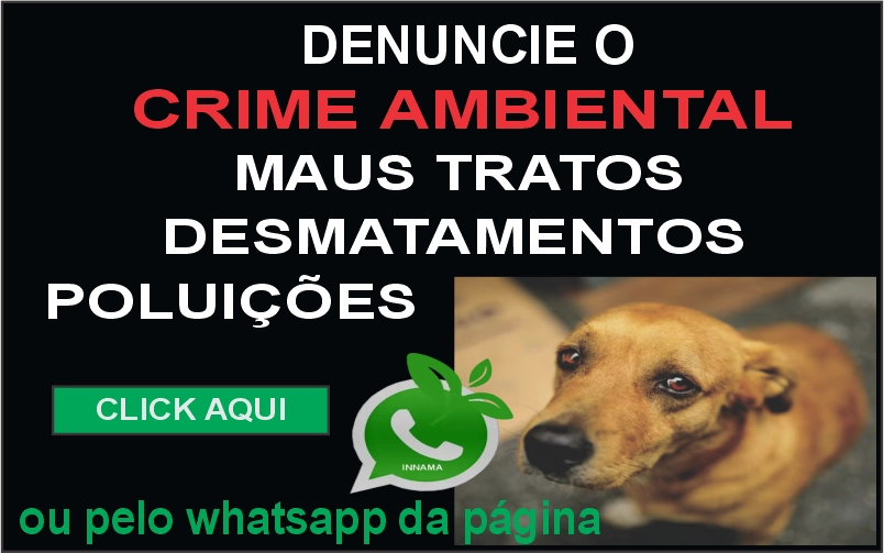 denuncie