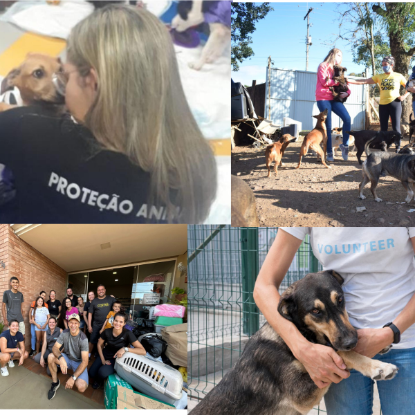 Proteção fauna flora Proteção fauna flora