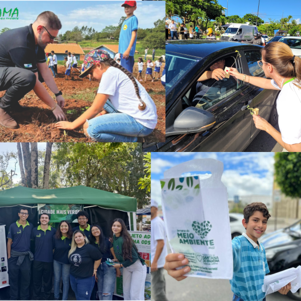 consientizações novo consientizações novo